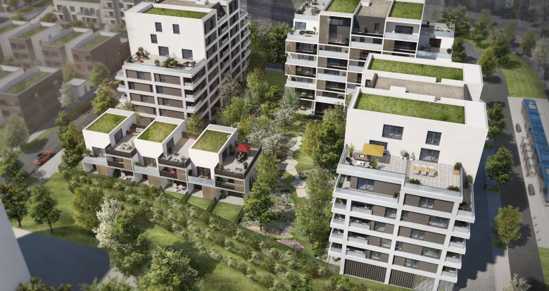 Achat / Vente programme immobilier neuf Toulouse quartier l'Ormeau proche Parc Alalouf (31000) - Réf. 7981